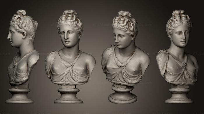 Бюсты и головы античные и исторические (Неизвестная Женщина 2, BUSTA_0525) 3D модель для ЧПУ станка